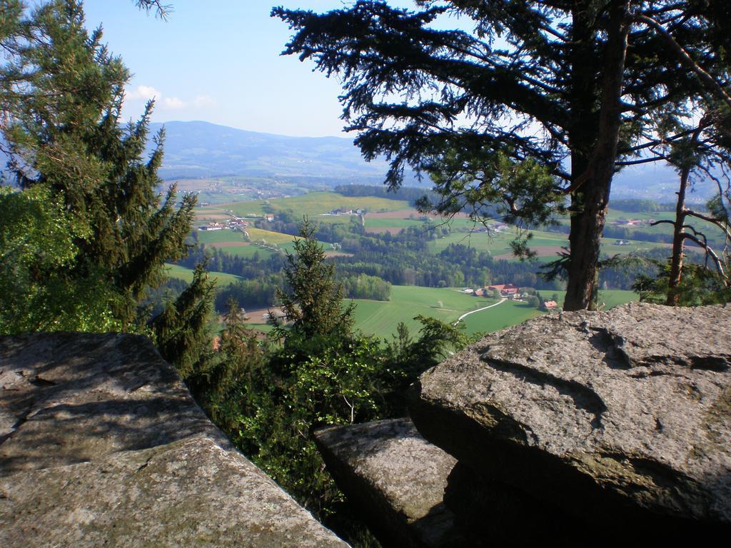韦森鲍尔施勒格尔安东酒店 Grafendorf bei Hartberg 外观 照片